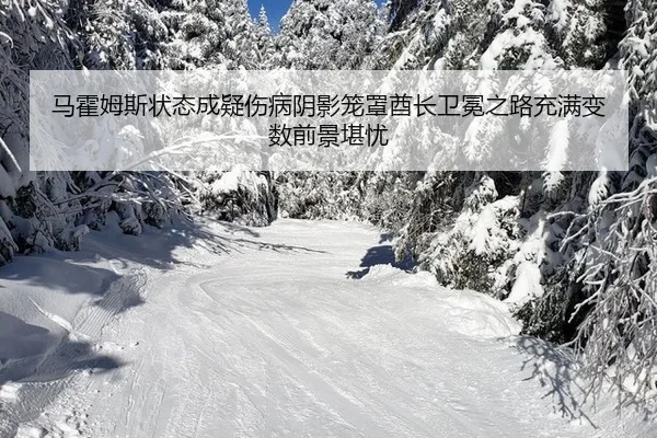 ma-huo-mu-si-zhuang-tai-cheng-yi-shang-bing-yin-ying-long-zhao-qiu-zhang-wei-mian-zhi-lu-chong-man-bian-shu-qian-jing-2-371.jpg